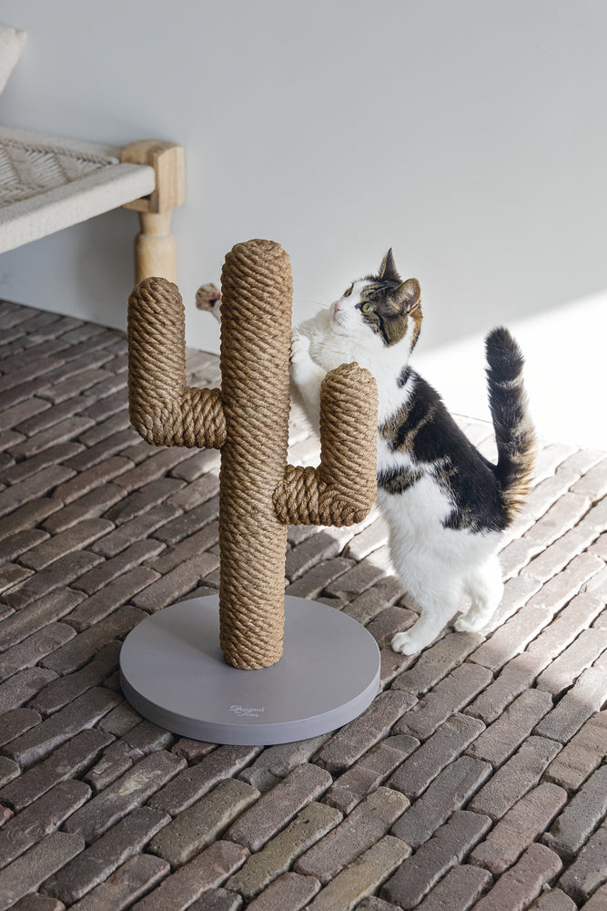 Cactus krabpaal taupe kleur 60 cm hoog van designed by lotte