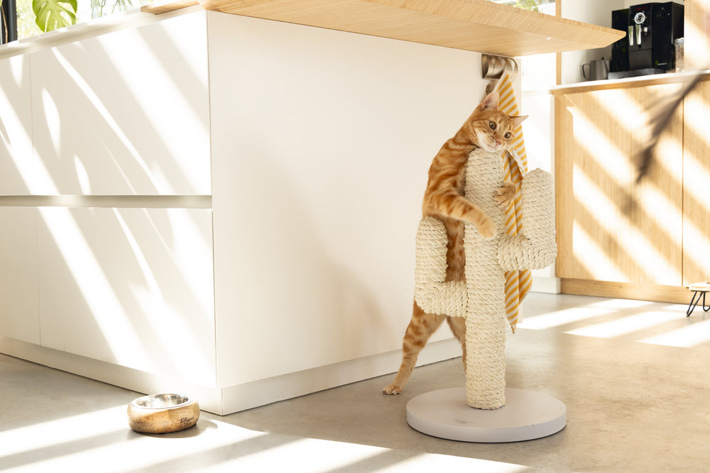 Cactus krabpaal taupe kleur 60 cm hoog van designed by lotte