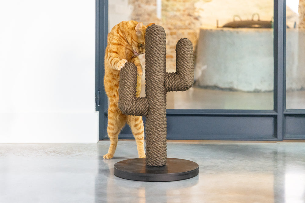 Cactus krabpaal taupe kleur 60 cm hoog van designed by lotte