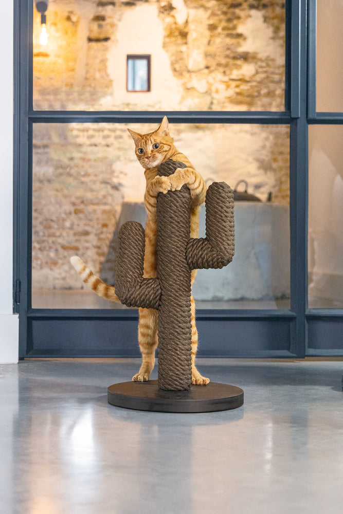 Cactus krabpaal taupe kleur 60 cm hoog van designed by lotte