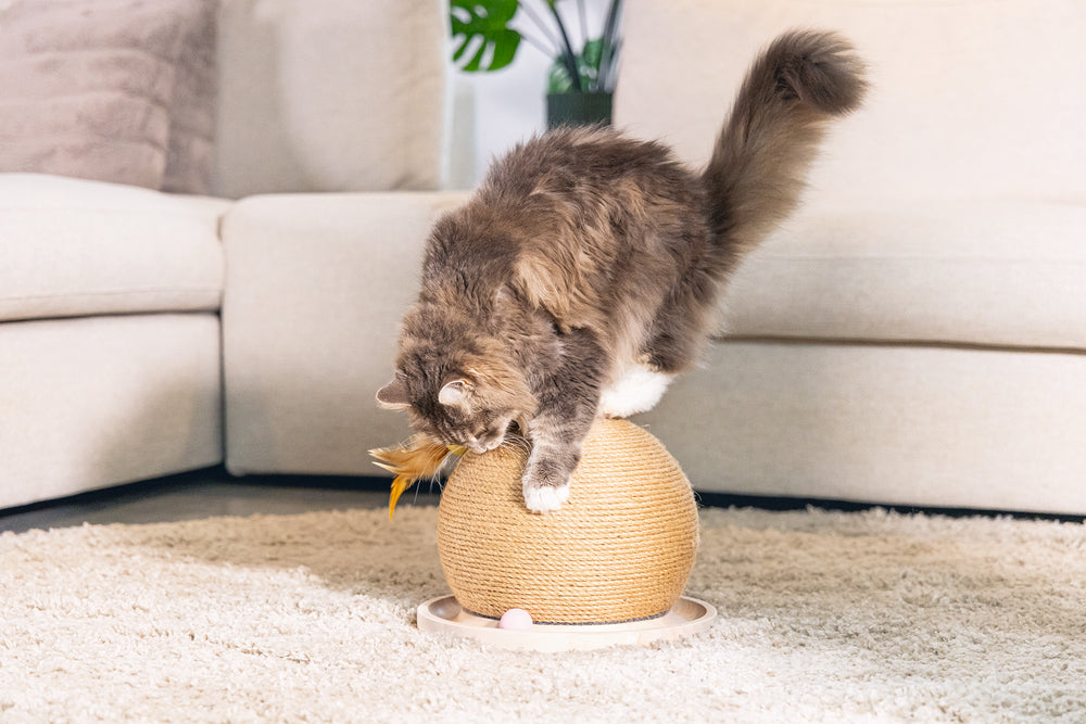 Designed by Lotte Krab- en Speelbol Mila - Kattenspeelgoed - Hout -