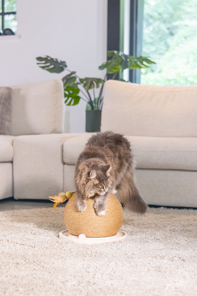 Designed by Lotte Krab- en Speelbol Mila - Kattenspeelgoed - Hout -