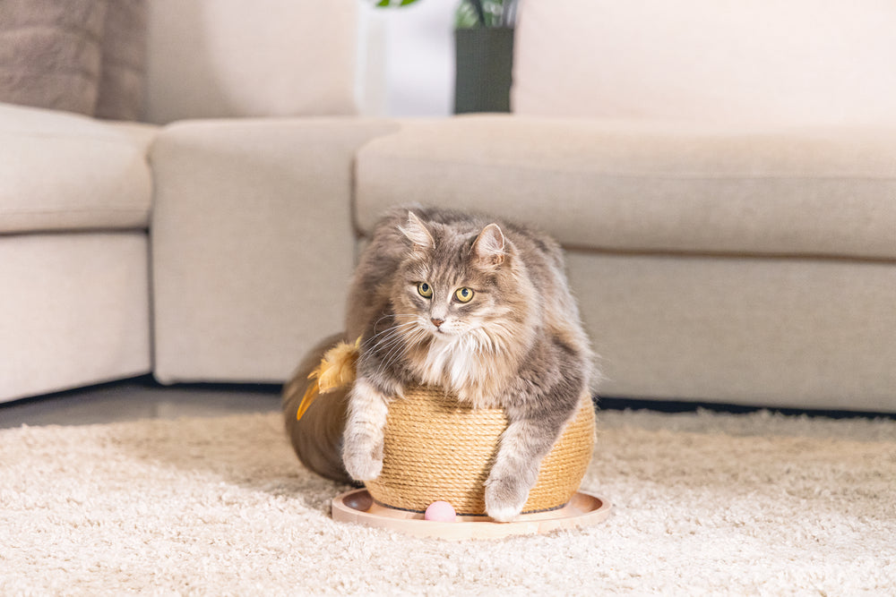 Designed by Lotte Krab- en Speelbol Mila - Kattenspeelgoed - Hout -