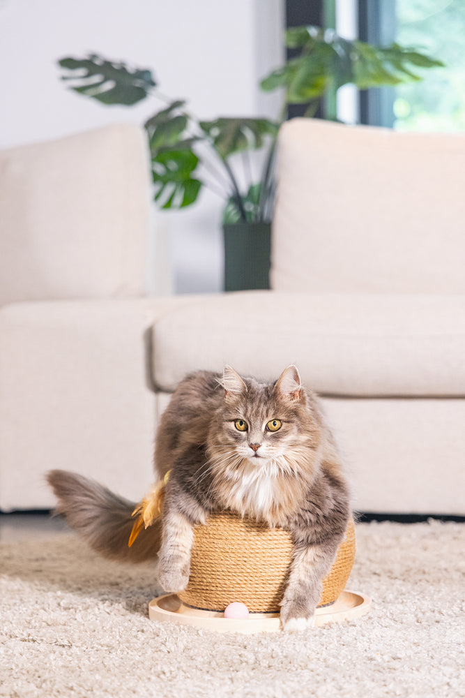 Designed by Lotte Krab- en Speelbol Mila - Kattenspeelgoed - Hout -