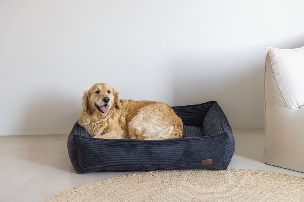 DBL LIGMAND RIBBED ANTR