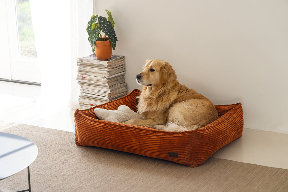 DBL LIGMAND RIBBED TERRA