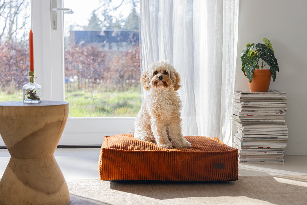 ribkussen designed by lotte