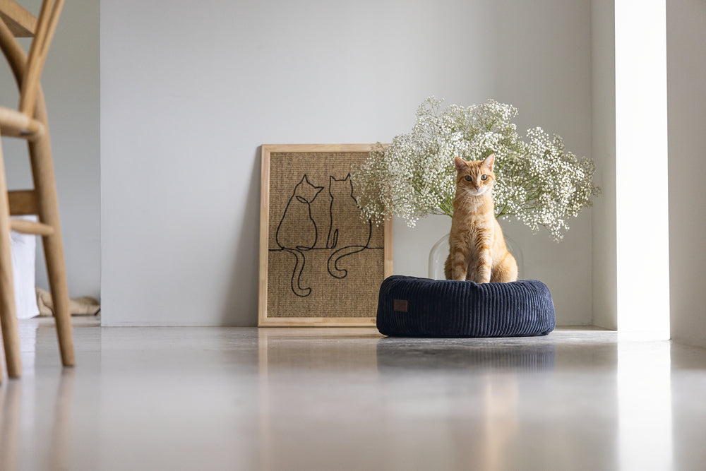 Designed by Lotte Ribbed - Kattenmand - Antraciet - 50x50x17 cm