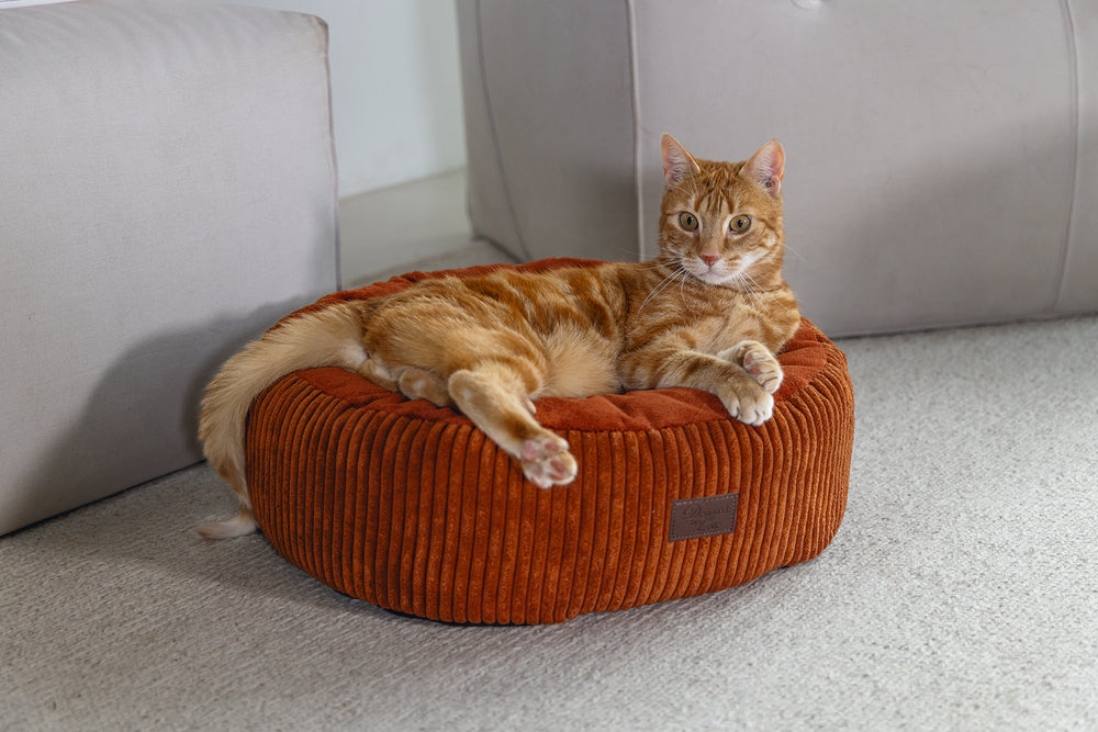 Designed by Lotte Ribbed - Kattenmand - Terracotta - 50x50x17 cm