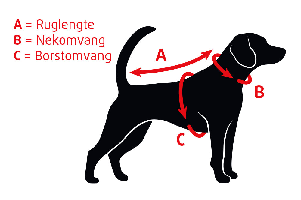 BZ SG TPU HLSB+USB DOGINI MULTI 65X10