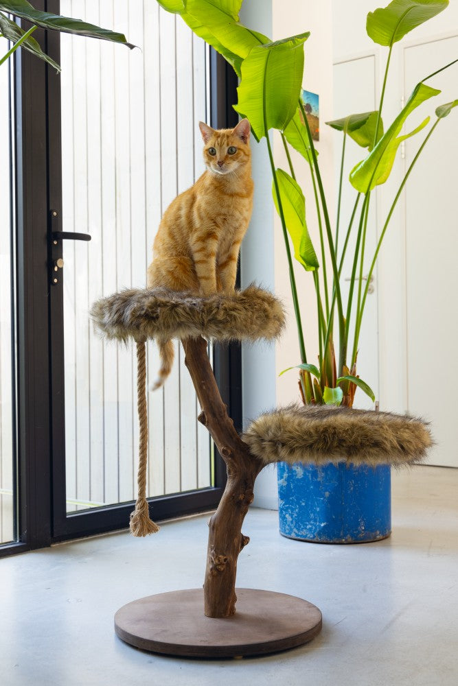 Aviva Kattenmeubel