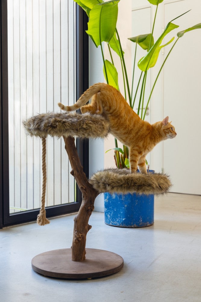 Aviva Kattenmeubel