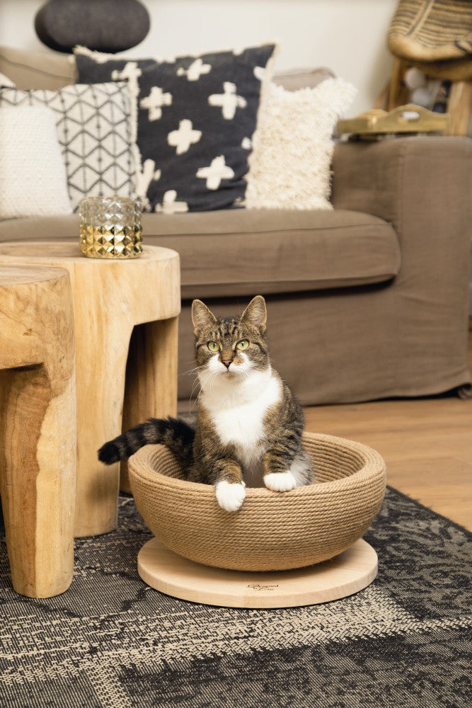 Dit is Zaina en zij komt van het topmerk Designed by Lotte. Zaina heeft maar liefst twee functies. Aan de ene kant kan er heel hard gekrabd worden aan haar en is na het harde krabben uitermate geschikt om in uit te rusten. Eigenlijk heeft Zaina drie functies, ze namelijk ook nog eens beeldschoon en staat prachtig in huis.