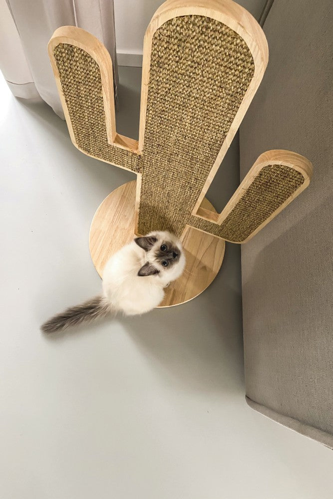 Waarschijnlijk ken je de super populaire Cactus krabpaal van het topmerk Designed by Lotte al? Daar hebben we nu een variant van opgenomen in ons aanbod, namelijk de Cactus Oze Krabpaal. Deze krabpaal is van hetzelfde topmerk, maar net een beetje anders, doordat deze cactus plat is in plaats van rond. Het leuke van deze krabpaal is, dat er aan beide kanten kan worden gekrabd en dat de krabpaal mooi staat in ieder interieur!