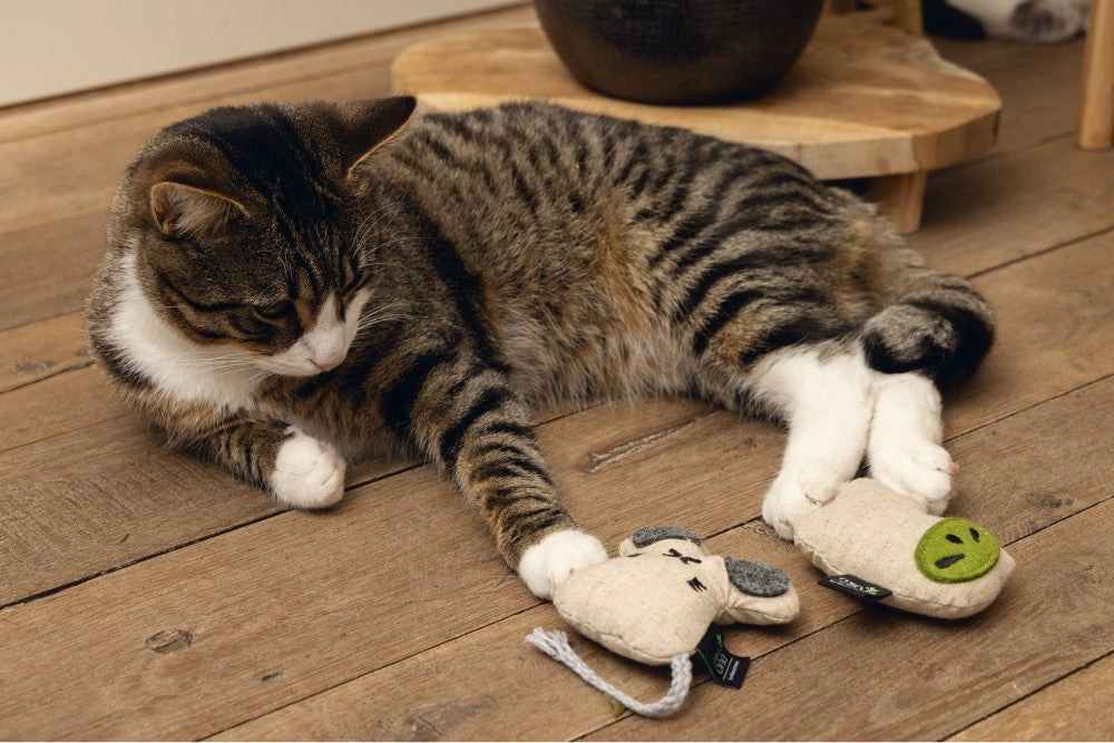 Beeztees Minus One - Kattenspeelgoed