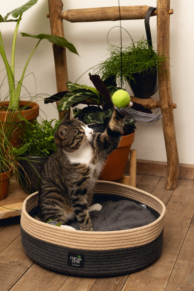 Beeztees Minus One Viena - Kattenhengel - Bruin/Groen - 42 cm