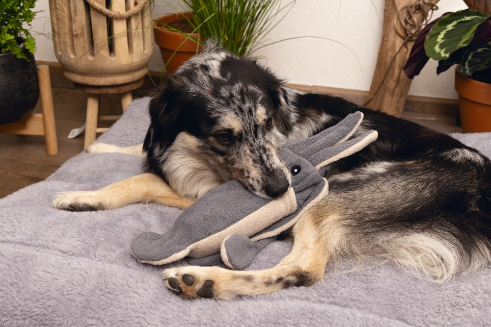 Beeztees Minus One - Hondenspeeltjes