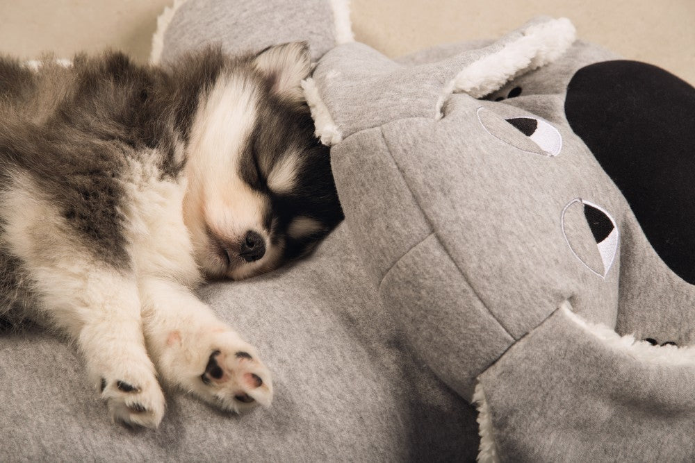 Met de Boomba puppyknuffel van Beeztees geef je jouw pup een extra grote knuffel! Deze XL knuffel is maar liefst 70 cm lang! Jouw pup zal de knuffel gebruiken om lekker tegenaan te kruipen of misschien wel om bovenop te gaan liggen. Boomba is gemaakt van een zachte joggingstof met pluche, zodat het extra zacht aanvoelt voor jouw pup.