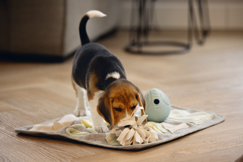 De snackbal is heel bekend speelgoed bij zowel hond als baasje. Dit Beeztees Snackei is daar een hele leuke variant op! Dit ei zal iets minder rollen, maar wel wat meer heen en weer wiebelen. Het ei heeft aan de voorkant een gat, waardoor het ei kan worden gevuld met snoepjes of koekjes voor jouw pup. Doordat het gemaakt is van rubber, kan het ei wel tegen een stootje. Gegarandeerd speelplezier!