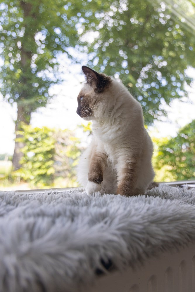 Beeztees Kitten Vensterbank Mat Blizz - Kattenmat - Pluche - Grijs -