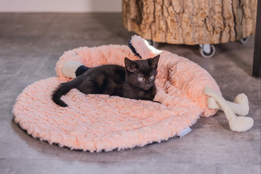 Beeztees Kitten Flamingo Giba - Kattenkussen - Pluche - Roze - 52X52X10