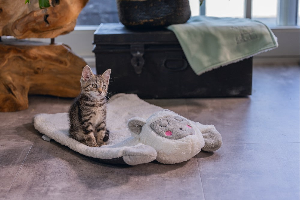 Beeztees Kitten Lama Casto - Kattenkussen - Pluche - Wit - 60X40X12 cm