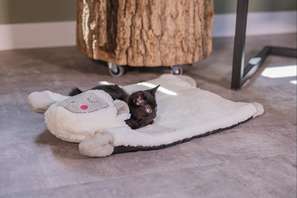 Beeztees Kitten Lama Casto - Kattenkussen - Pluche - Wit - 60X40X12 cm