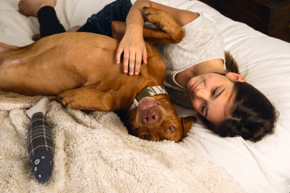 Ligt jouw huisdier graag op de bank, op schoot of in bed? Dan is het Designed by Lotte Wush hondendeken iets voor jou. Met dit zachte en mooi afgewerkte plaid, zorg je er namelijk voor dat je meubels vrij blijven van haren. Bovendien zorgt het ook voor extra comfort voor jouw trouwe viervoeter. Natuurlijk kun je het kleed ook zelf gebruiken!