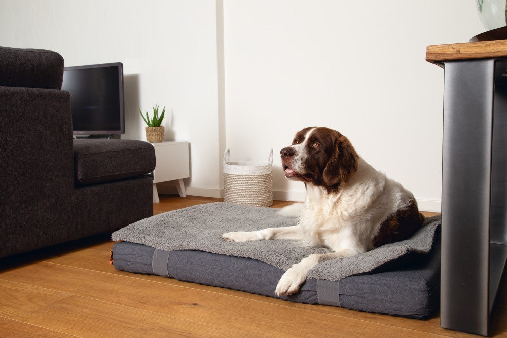 Beeztees Duo - Orthopedisch Hondenkussen - Grijs - 120x80x14cm