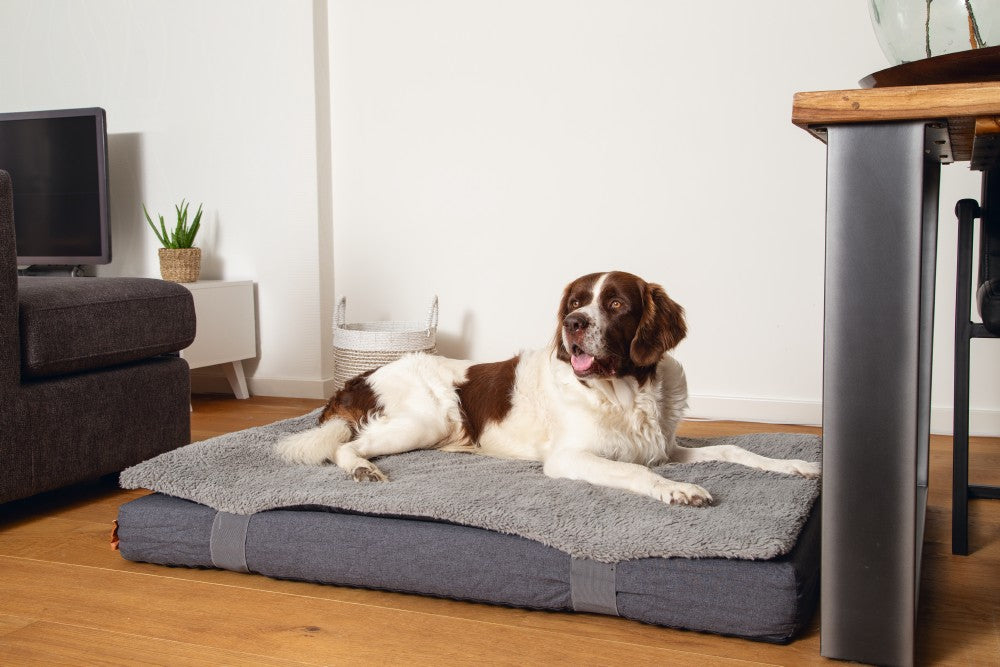 Beeztees Duo - Orthopedisch Hondenkussen - Grijs - 120x80x14cm