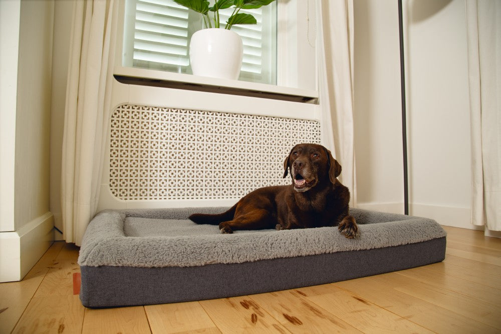 Beeztees memory foam ligbed Yura - Hondenkussen - Grijs - 120x80x15cm