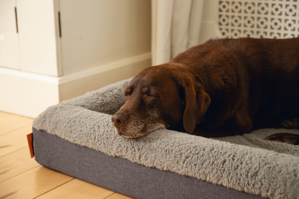 Beeztees memory foam ligbed Yura - Hondenkussen - Grijs - 120x80x15cm