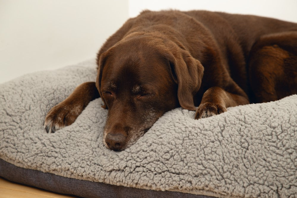 Beeztees Ruba - Orthopedisch Hondenkussen - Grijs - 100x70cm