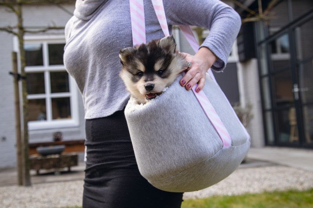 In de Beeztees Wolly Draagtas reist jouw kleine Furry Friend of puppy in style. Vooral als jouw pup nog jong is, mag hij of zij nog niet zo lang lopen. Mocht je jouw pup toch graag ergens mee naartoe nemen, dan kan dat in deze fantastische Wolly Draagtas. Deze stoffen reistas is lekker zacht en warm, zodat jouw pup het helemaal niet erg vindt om in de tas te gaan.