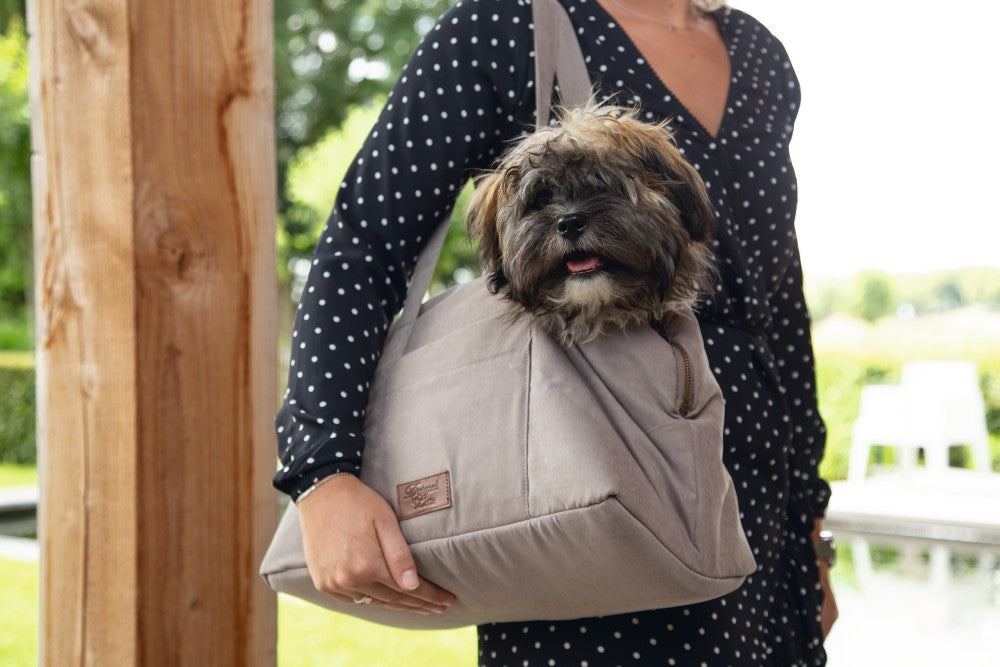 Van deze Designed by Lotte Bundu Draagtas voor de hond, zul je het hele jaar plezier beleven! De draagtas heeft namelijk een hele warme binnenkant van pluche, waardoor winterse wandelingen geen probleem meer zijn. Met mooi weer haal je het warme pluche heel eenvoudig uit de tas. De draagtas is voorzien van een zijvakje, waarin gemakkelijk kleine spulletjes kunnen worden meegenomen.