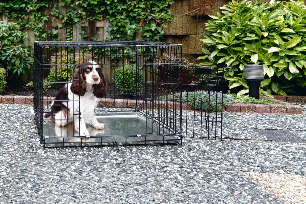 In de Beeztees Hondenbench geef je jouw pup of hond een eigen plek, waarbij je zeker weet dat er niks kapot gaat in huis. Deze bench met 2 deuren, is inklapbaar en daardoor ook gemakkelijk op te bergen. Doordat de bench 2 deuren heeft, kun je de bench vrijwel overal in huis neerzetten. Door middel van het handvat aan de bovenkant, kun je de ingeklapte bench gemakkelijk verplaatsen en opbergen.
