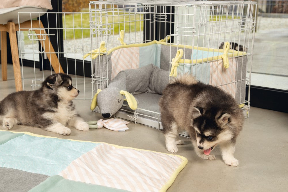 Het Puppy Quilty Plaid is een lekker zacht hondenkleed, waar jouw pup op kan spelen en uitrusten. Dit kleed is voorzien van leuke kleuren en patronen die perfect op elkaar aansluiten. Door de trendy uitstraling, heb je niet eens meer door dat dit kleed eigenlijk is bedoeld voor de pup. Met dit zachte en warme kleed geef je jouw pup echt een eigen plekje waar hij of zij zich veilig zal voelen. Het kleed is uitwasbaar op 30 graden in de wasmachine en is vervolgens gemakkelijk op te vouwen en op te bergen.