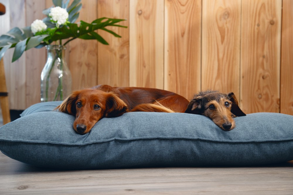 Beeztees Ferro - Hondenkussen - Blauw - 100x70 cm
