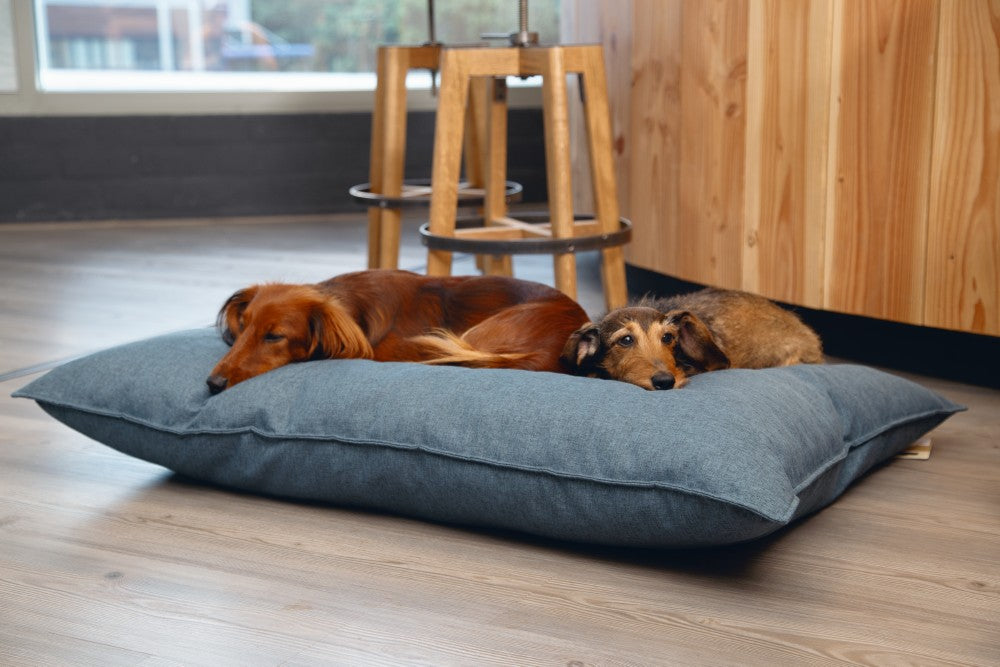 Beeztees Ferro - Hondenkussen - Blauw - 100x70 cm