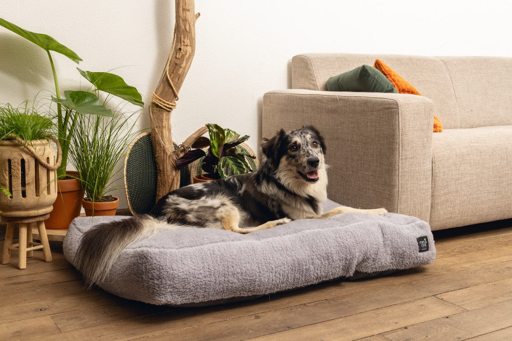 Beeztees Minus One Don - Hondenkussen - Lichtgrijs - 100x70x15 cm