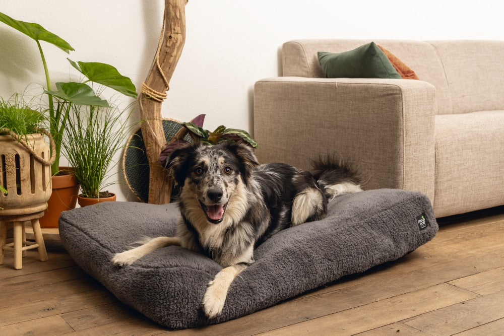 Beeztees Minus One Don - Hondenkussen - Donkergrijs - 100x70x15 cm