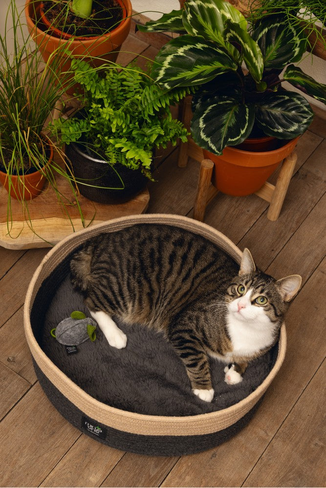 BZ MINUS ONE LIGM XANA DGRS/BRN 45