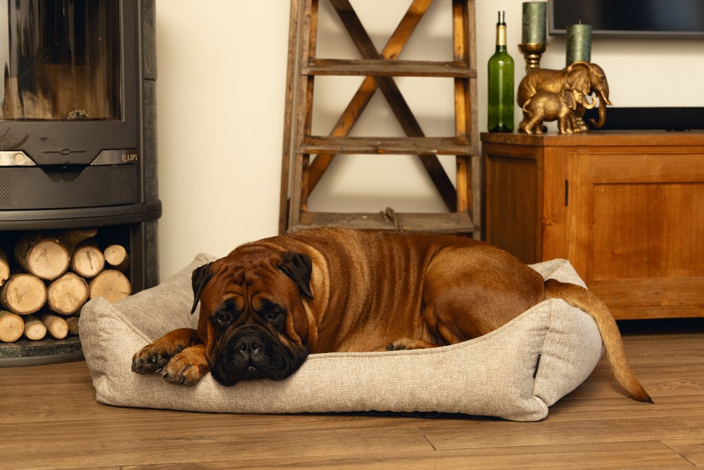 Beeztees Memory Foam Zia - Hondenmand - Beige- large