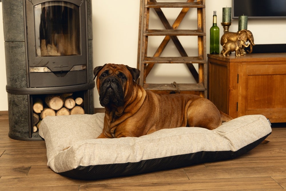 BZ MEMORY FOAM LIGK ZIA GRS