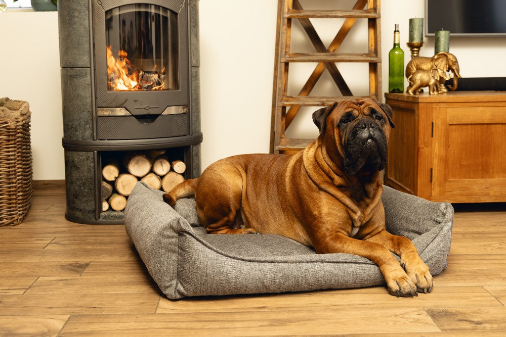 Beeztees Memory Foam Zia - Hondenmand - Grijs- large