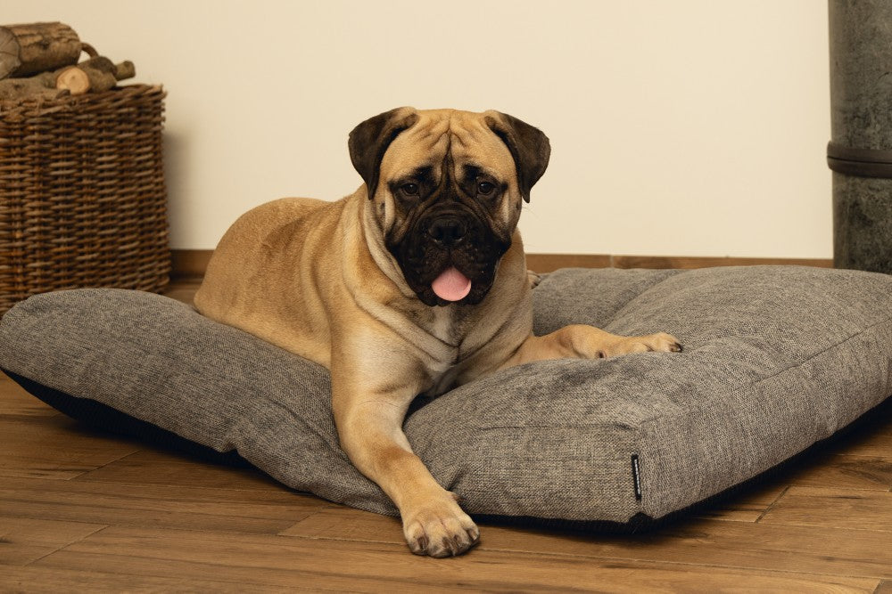 BZ MEMORY FOAM LIGK ZIA GRS