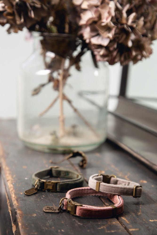 Velura Kattenhalsband