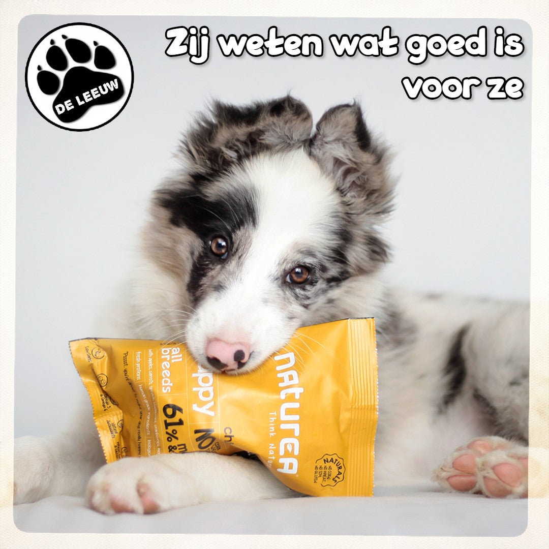 NATURALS Puppy Chicken voegt eenvoudige en juiste ingrediënten toe, zoals gezonde groenten en fruit, en biedt de effectieve voeding voor het kweken van uw puppy met de heerlijkste smaak die hij kan ervaren, wat zorgt voor kracht, gezonde gewrichtsgroei en glanzende vachten. Geen maïs, geen tarwe, geen soja, geen gluten - door uw puppy Naturals te voeren, biedt u hem een evenwichtige, gezonde en lange levensduur.