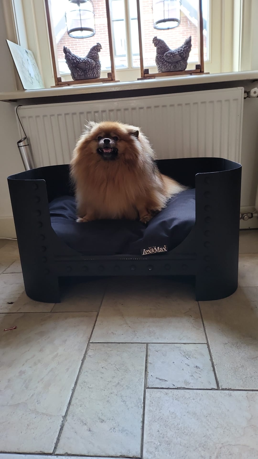 Industrial divan bkack lex & max