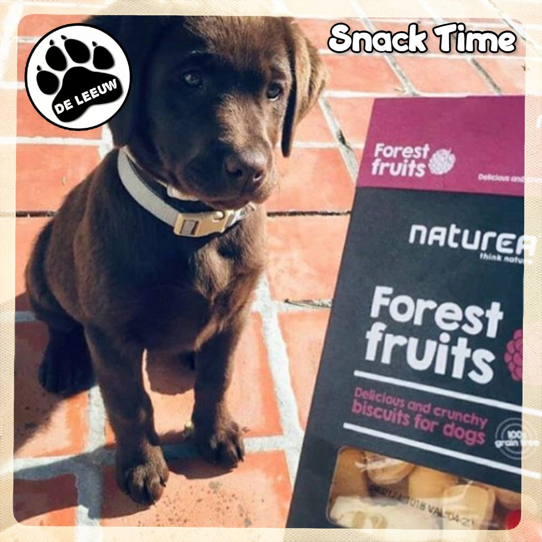 Dog Biscuits - Eend & Zwarte Bessen Hondensnacks Dit zijn twee ingrediënten die een verrassende mix van smaken opleveren. Het resultaat is een zoet en knapperig koekje dat lijkt op sommige jachtrecepten.